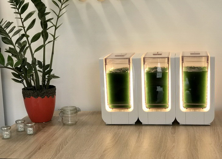 alg-and-you BLOOM-consumer design for startup spiruline prototype