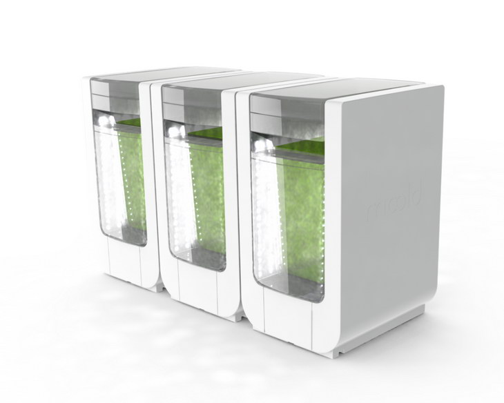 alg-and-you BLOOM-consumer design for startup spiruline render